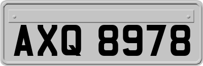 AXQ8978