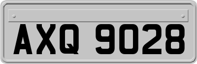 AXQ9028