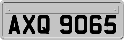 AXQ9065