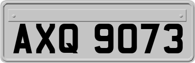 AXQ9073