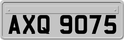 AXQ9075