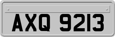 AXQ9213