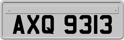 AXQ9313