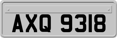 AXQ9318