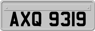 AXQ9319