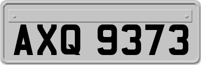 AXQ9373