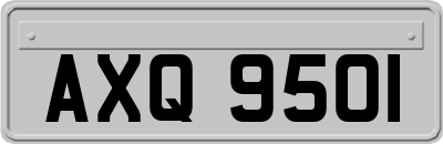 AXQ9501