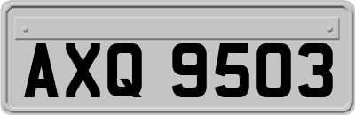 AXQ9503