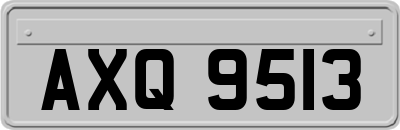AXQ9513