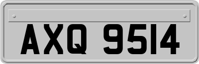 AXQ9514