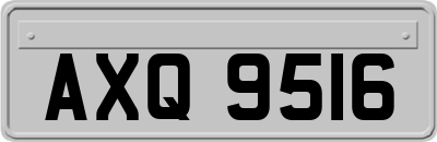 AXQ9516