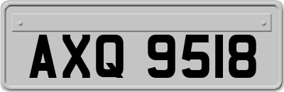 AXQ9518