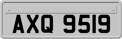 AXQ9519