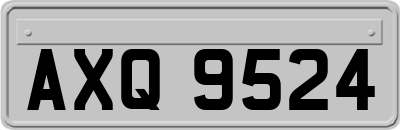 AXQ9524