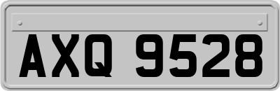 AXQ9528