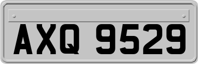 AXQ9529