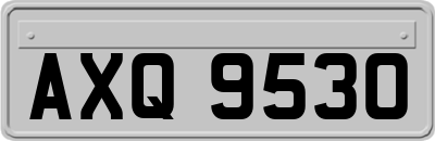 AXQ9530