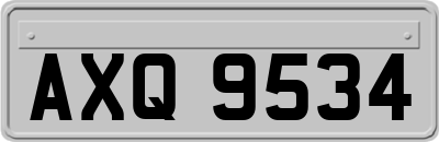 AXQ9534