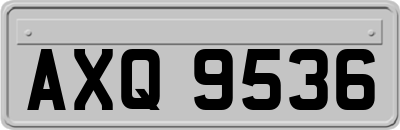 AXQ9536