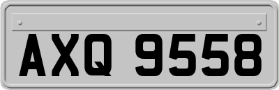 AXQ9558