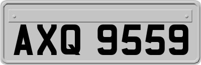 AXQ9559