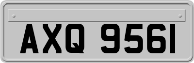 AXQ9561