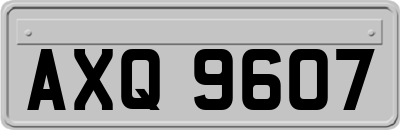 AXQ9607