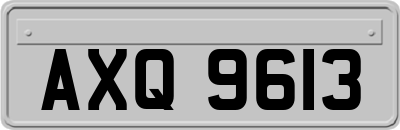 AXQ9613