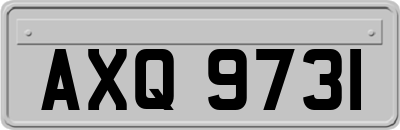 AXQ9731