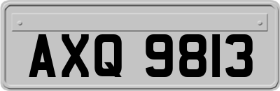 AXQ9813