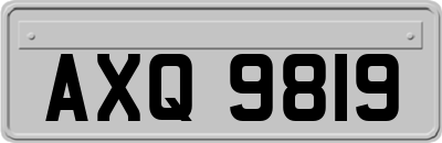 AXQ9819