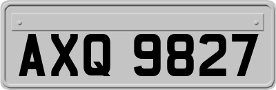 AXQ9827