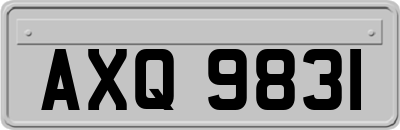 AXQ9831