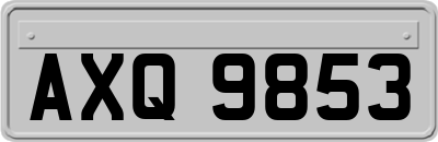 AXQ9853