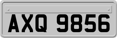 AXQ9856