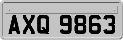 AXQ9863