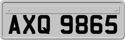 AXQ9865