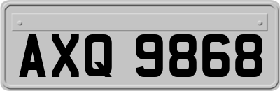 AXQ9868