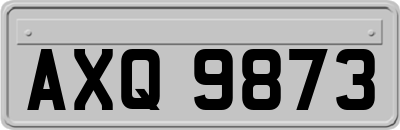AXQ9873