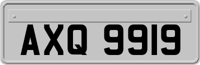 AXQ9919