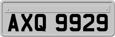 AXQ9929