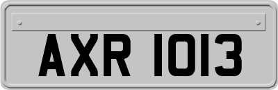AXR1013