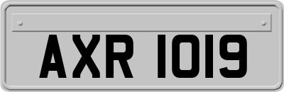 AXR1019