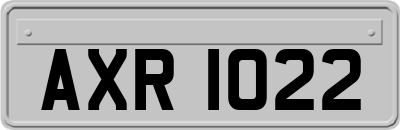 AXR1022