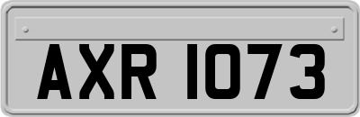 AXR1073