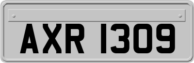 AXR1309