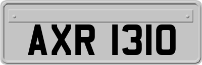 AXR1310