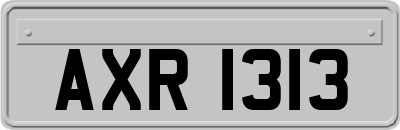AXR1313