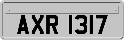 AXR1317