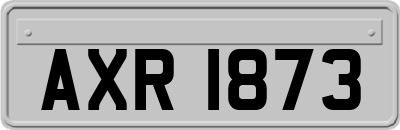 AXR1873